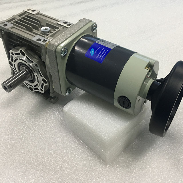 12v 24v dc motor with worm gear box and high torque and low speed dc gear motor