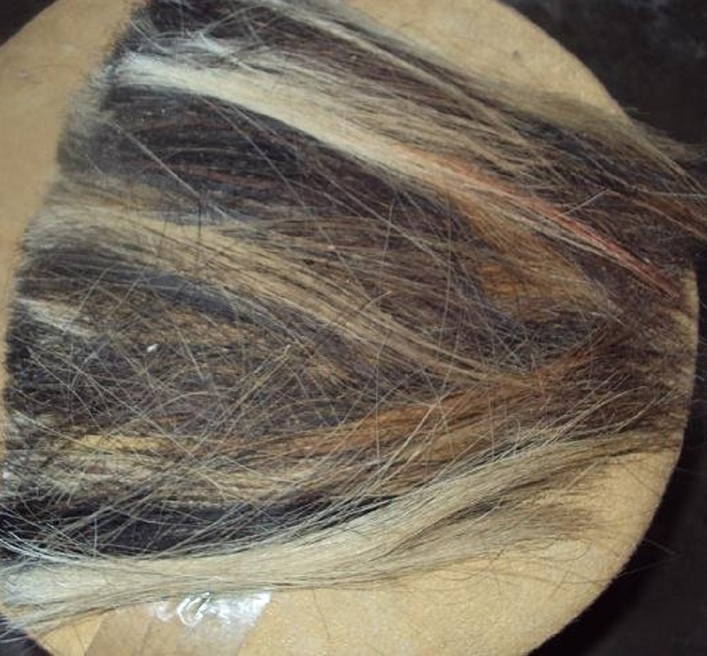 Cow Tail Washed and clean Hair Dressed and Certain size for making  Brush Animal Tail Hair unit india