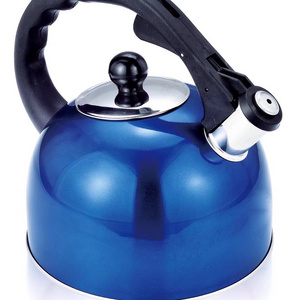 3L Whistling Kettle with One-body Handles and Whistle Outdoor Kettle Teapot for Camping