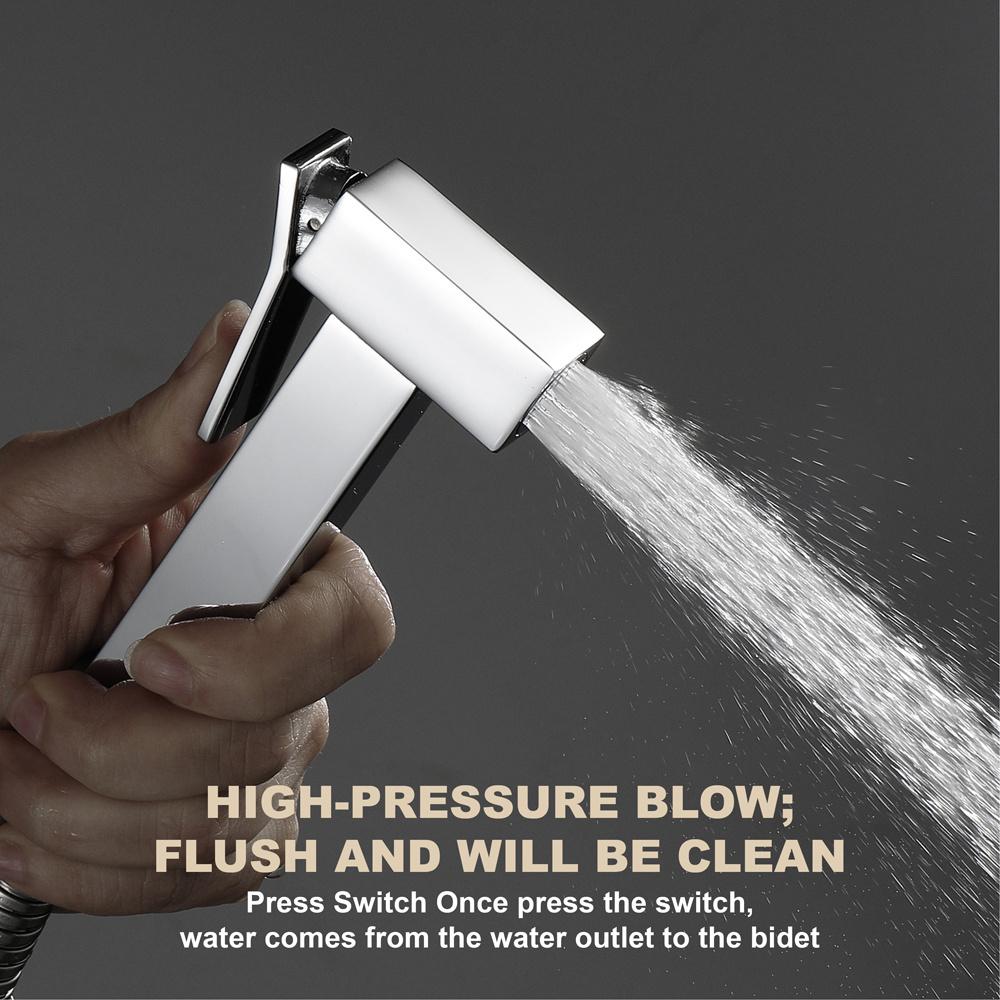 Brass Hand Held Portable Bathroom Bidet Toilet Sprayer Handheld Sprayer toilet Bidet set with T-valve for woman