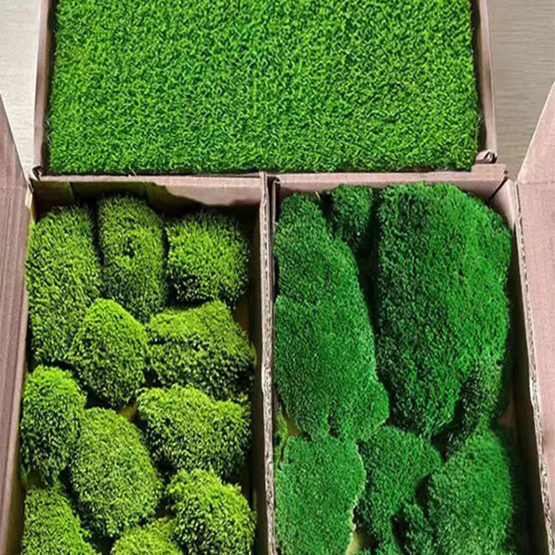 YUnnan Factory Whole Preserved Moss wall green moss wall art panels decorative preserved artificial moss wall panel