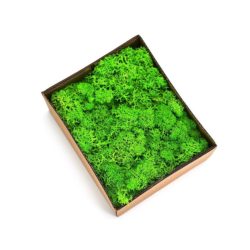 YUnnan Factory Whole Preserved Moss wall green moss wall art panels decorative preserved artificial moss wall panel