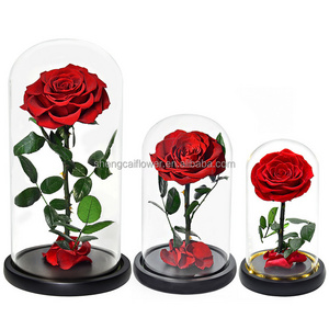 Valentines Day Gifts Wholesale Real Touch Rosas Eternas Preservadas Natural Flower Eternal Preserved Rose In Glass Dome