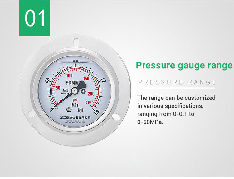 Cheap price manometer 250bar psi 60mm back connection with flange 304ss liquid-filled stainless steel Pressure gauge