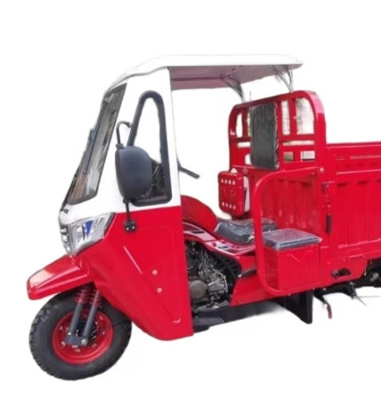 Powerful Engine 300cc Electric  motorcycle truck tricycle Cargo with Single cylinder and water-cooling