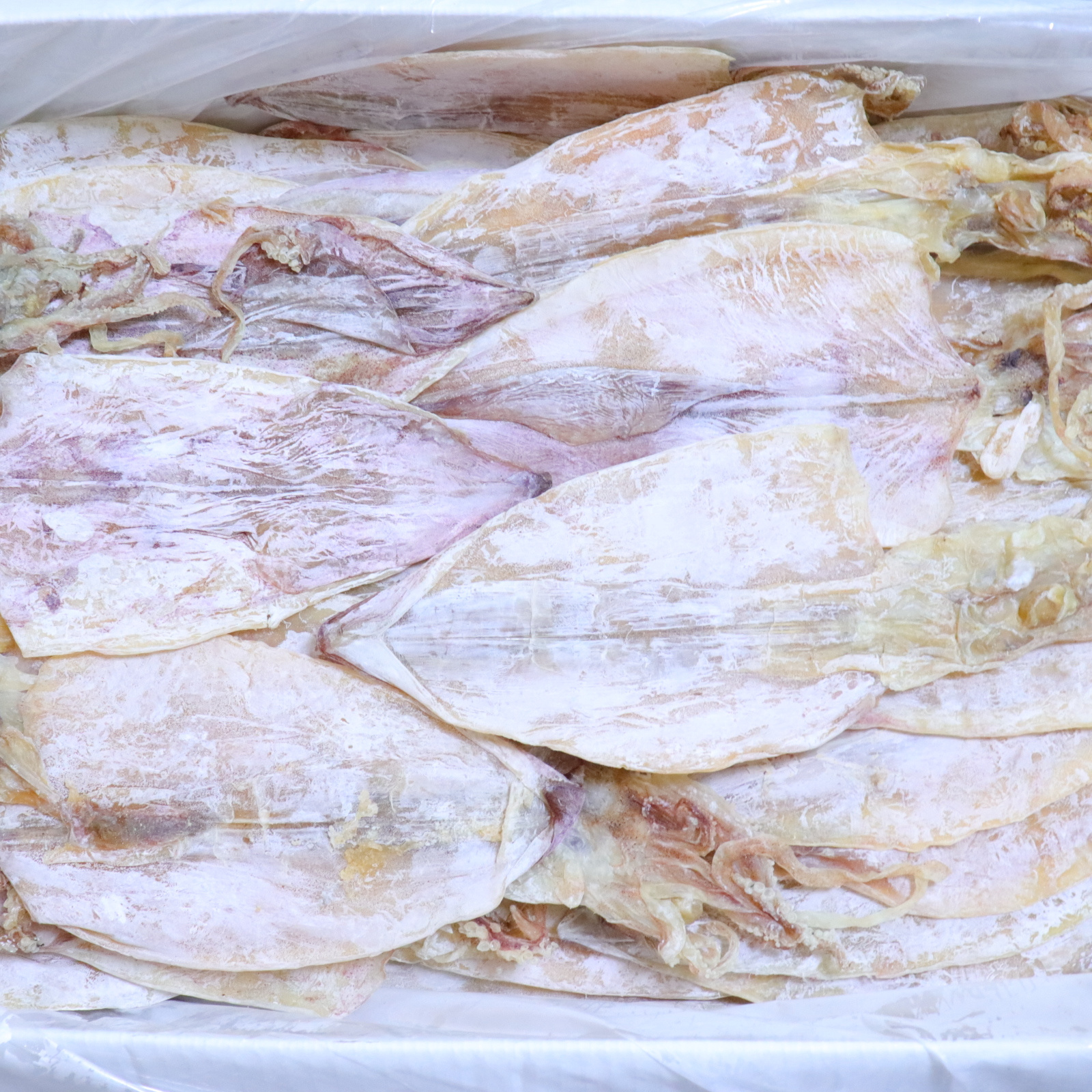 wholesale sell bulk fresh frozen dried squid frozen dried calamari squid