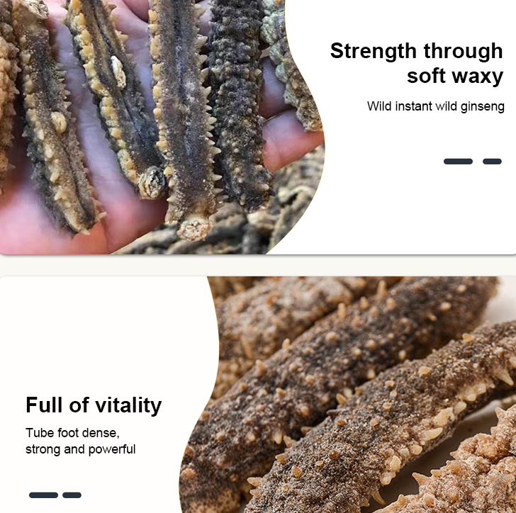 Wholesale Dry Thorn King Sea Cucumber Indonesia Sea Cucumber Price