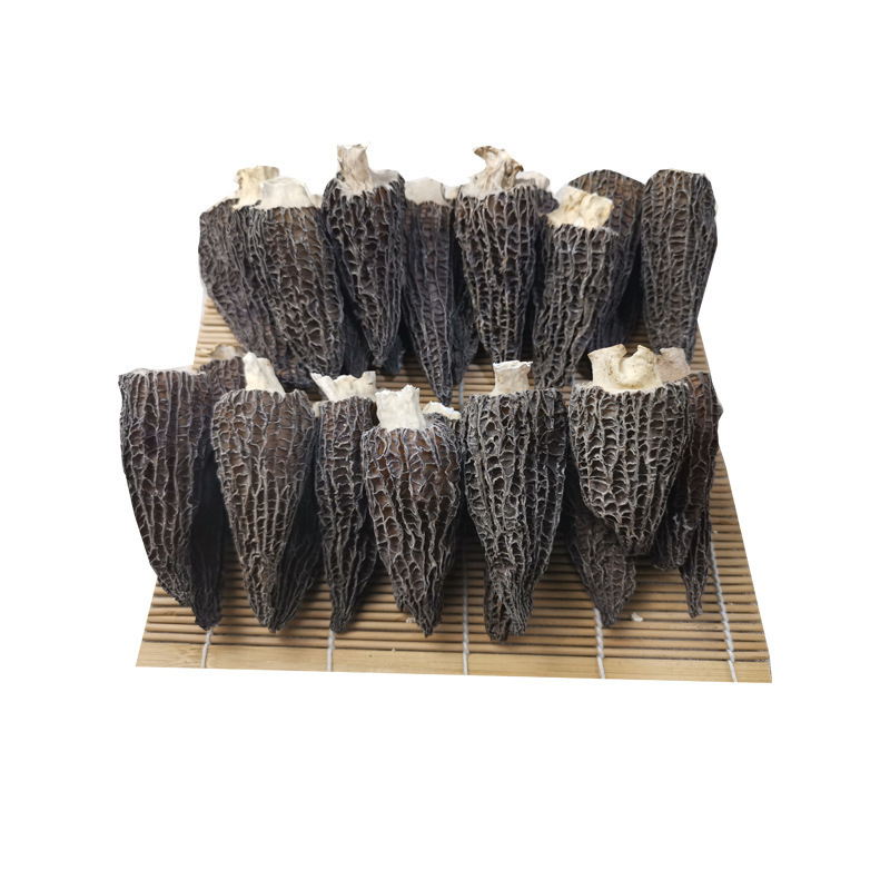 Best Quality Wholesale Bulk Morel Mushroom / Dried Black Morel Mushroom