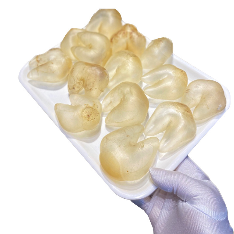 wholesale price natural air dried fish maw collagen high quality fish maw