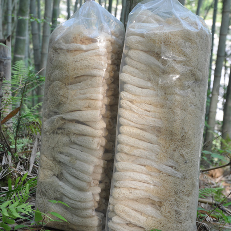 Wild Dried Bamboo Fungus Dictyophora With Wholesale Prices