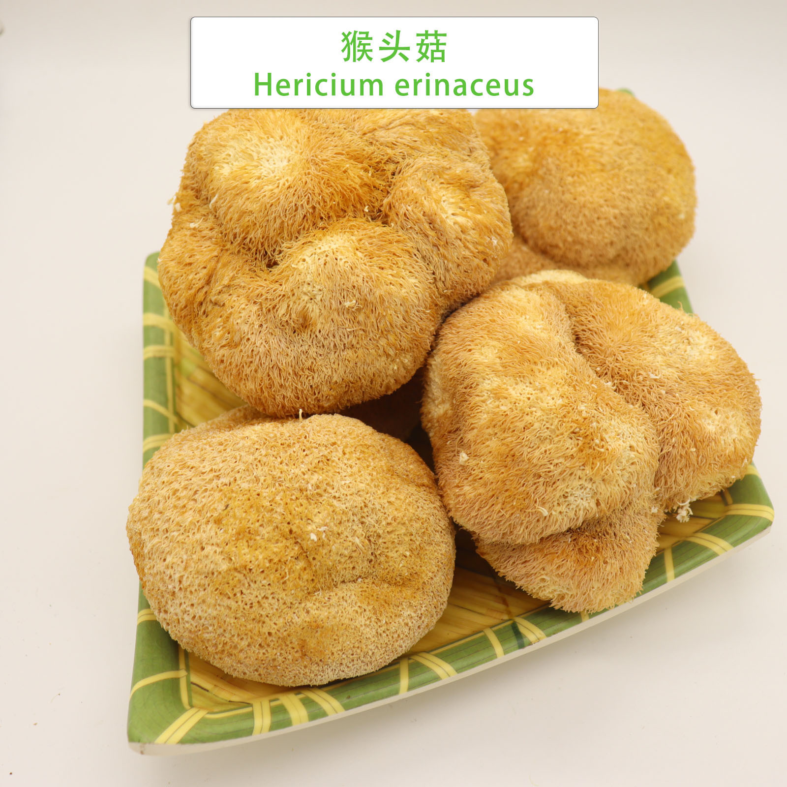 wholesale price of 1kg lion's mane mushroom High Quality hericium erinaceus Bulk dried lions mane mushrooms for sale