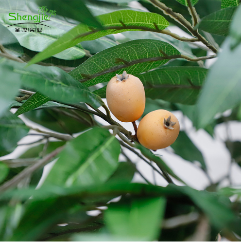 Artificial Potted Plants Loquat Trees Popular Artificial Bonsai  Loquat Tree With Fruit for Hotel Lobby Office Home Decoration