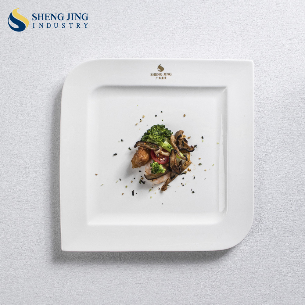 Unique Square Shape Plain White Customized Print Logo Restaurant Hotel Porcelain Dinner Serving Plate For Catering