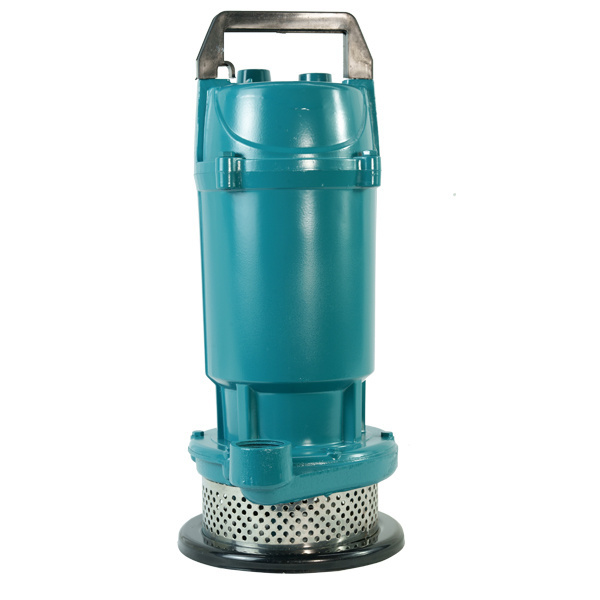 QDX 0.75kw 0.37KW 0.55KW 220V Submersible Water Pump 1hp 2Inch Delivery Water Pump Submersible With Floating Switch