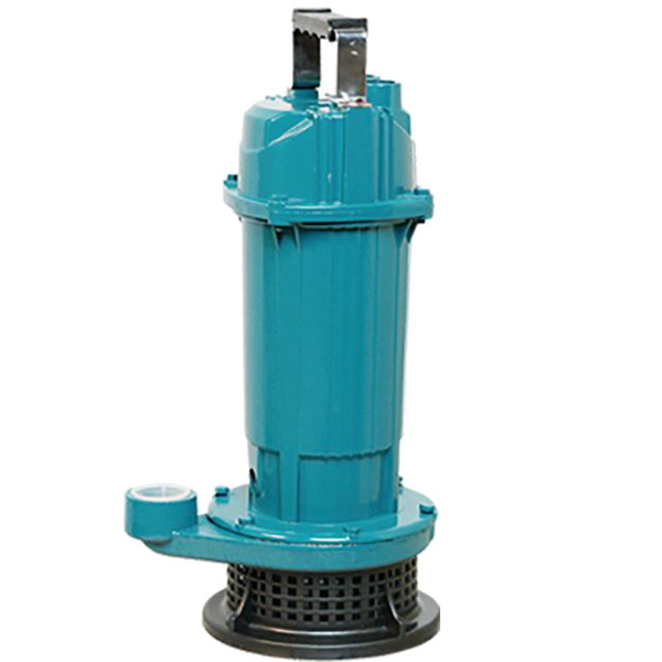 QDX 0.75kw 0.37KW 0.55KW 220V Submersible Water Pump 1hp 2Inch Delivery Water Pump Submersible With Floating Switch