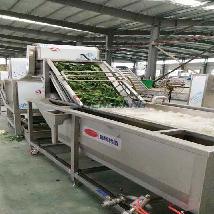 Automation Fruit And Vegetable Cleaning Equipment Tomato Lettuce Washer Leaf Vegetables Washing Machine