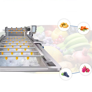 Automation Fruit And Vegetable Cleaning Equipment Tomato Lettuce Washer Leaf Vegetables Washing Machine