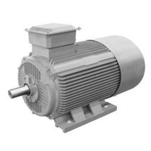 Variable Frequency Three Phase Synchronous Motor