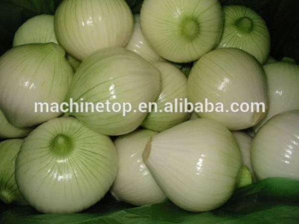 Automatic onion slicing and dicing machine vegetable dicing machine