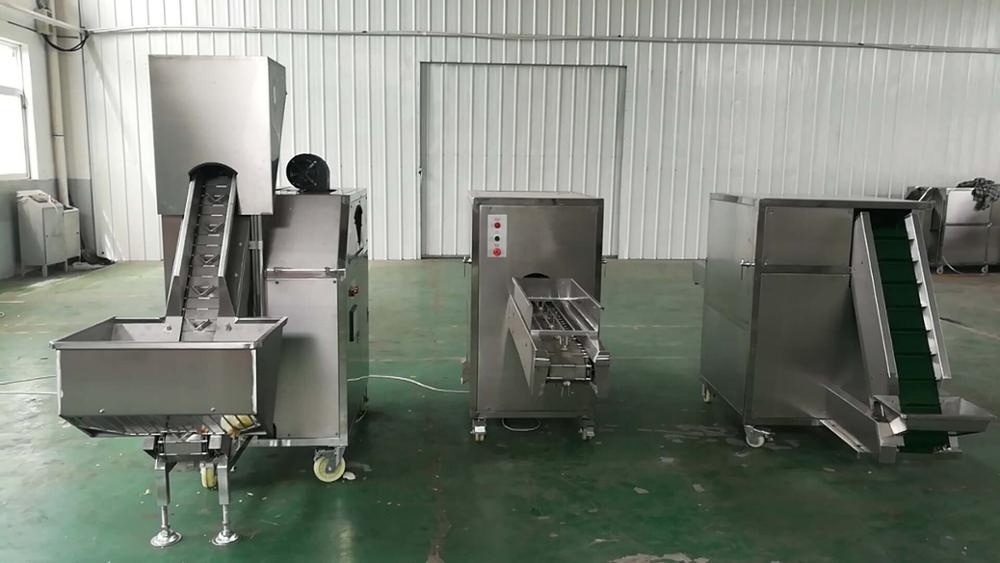 Onion processing line onion peeler&onion cutter&onion slicer