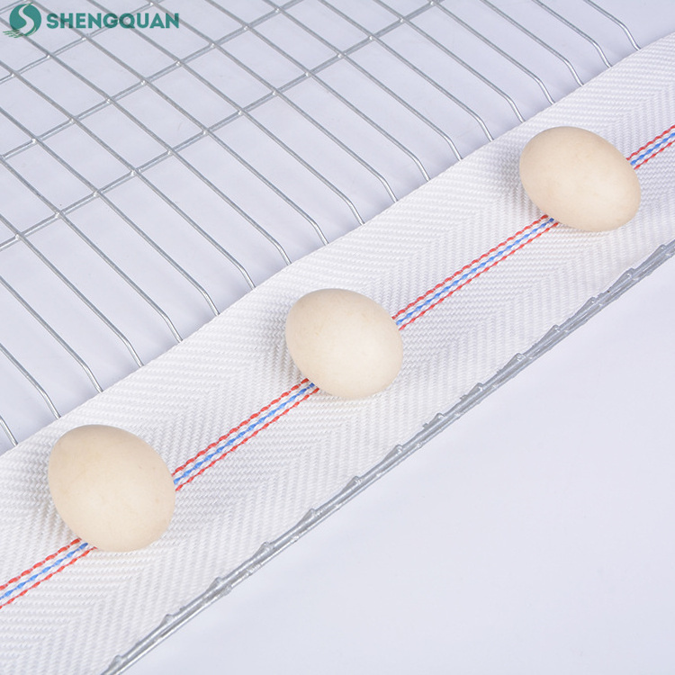 Polypropylene woven egg collection conveyor belt