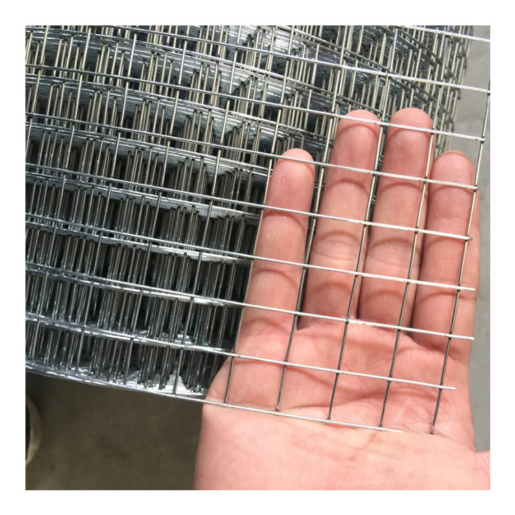 Hot dipped galvanized welded iron wire mesh 1''x 1'' 1''x1/2'' after welded wire mesh fence roll for bird cage