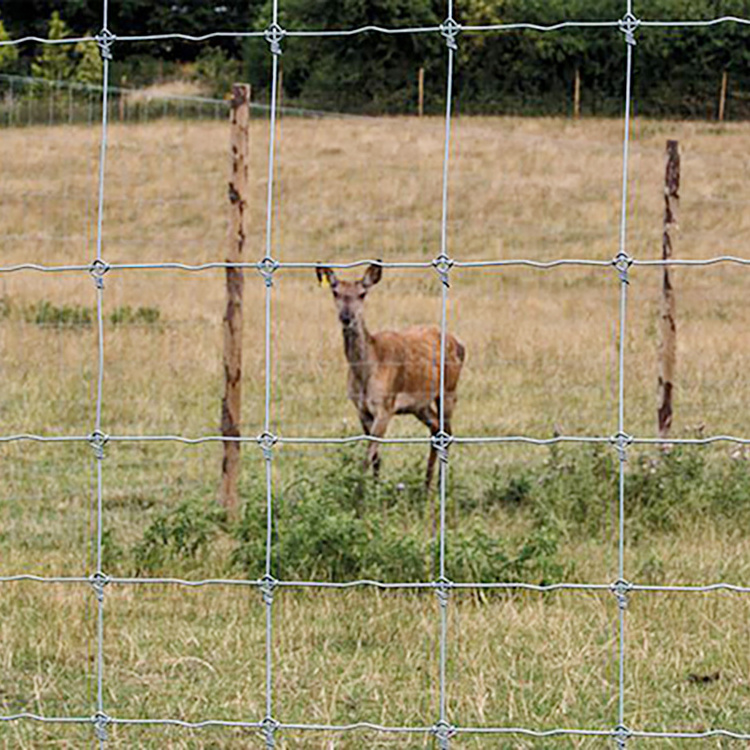 4ft 5ft 6ft 8ft cheap goat sheep livestock farm wire mesh fence hinge joint horse cattle farm field fence