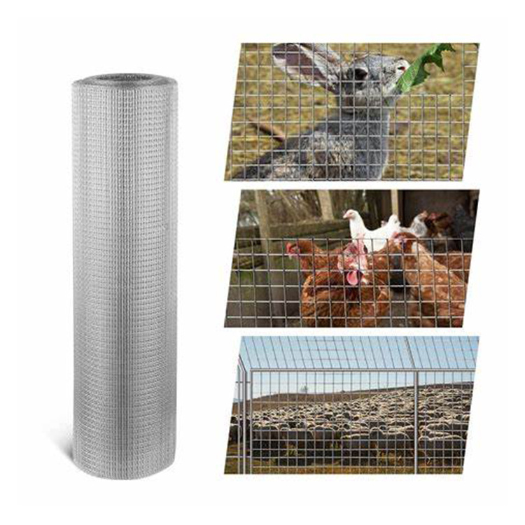 1/2 1x1 Electro Galvanized Welded Wire Mesh malla electrosoldada High Quality Best Price Galvanized Welded Wire Mesh