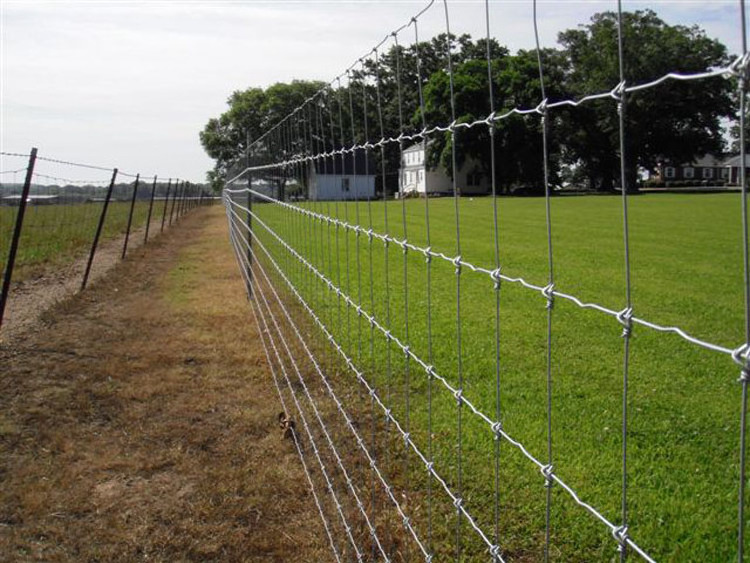 Cheap 4ft 5ft 6ft Galvanized Wire Mesh Fencing Veldspan Farm Field Sheep Goat Cattle Farm Fence