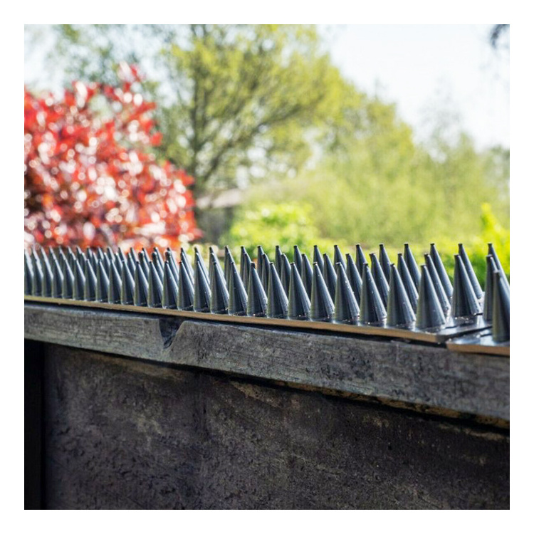 High Security Fence Anti Climb Wall Spikes Plastic Coated Razor Spike Stainless Steel Single Razor Galvanized Wall Spikes