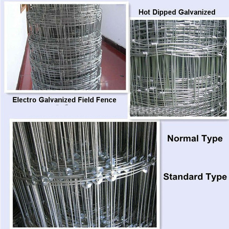 Cheap 4ft 5ft 6ft Galvanized Wire Mesh Fencing Veldspan Farm Field Sheep Goat Cattle Farm Fence