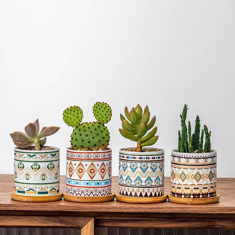 Custom interior home decorations small mini flower pot ceramic succulent pots planter cactus pot with drainage and bamboo tray