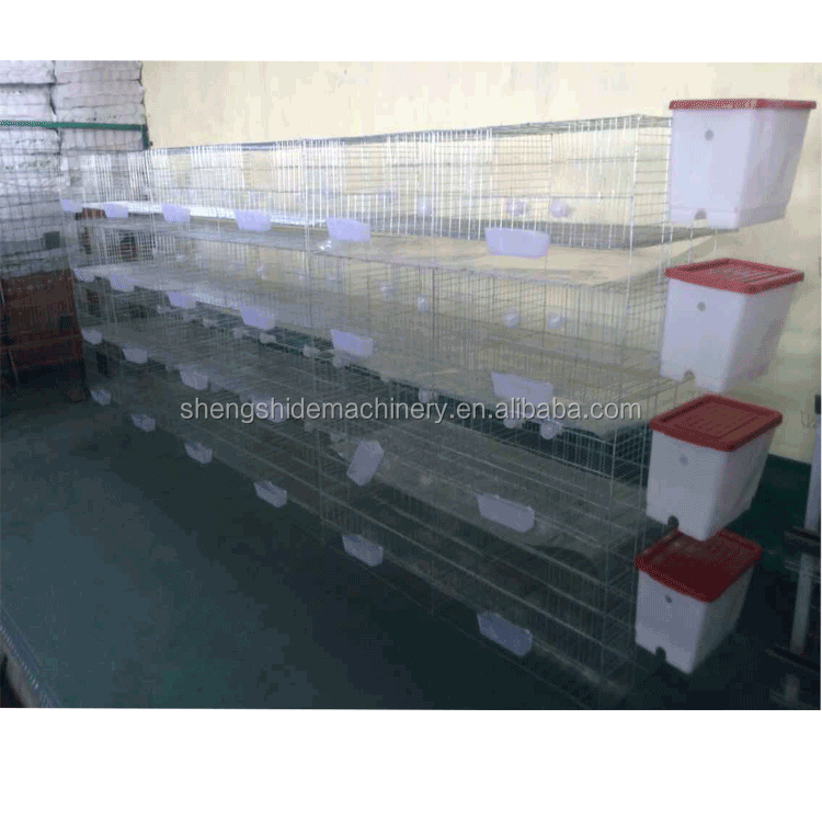 SSD poultry farm broiler layer baby chicken cages