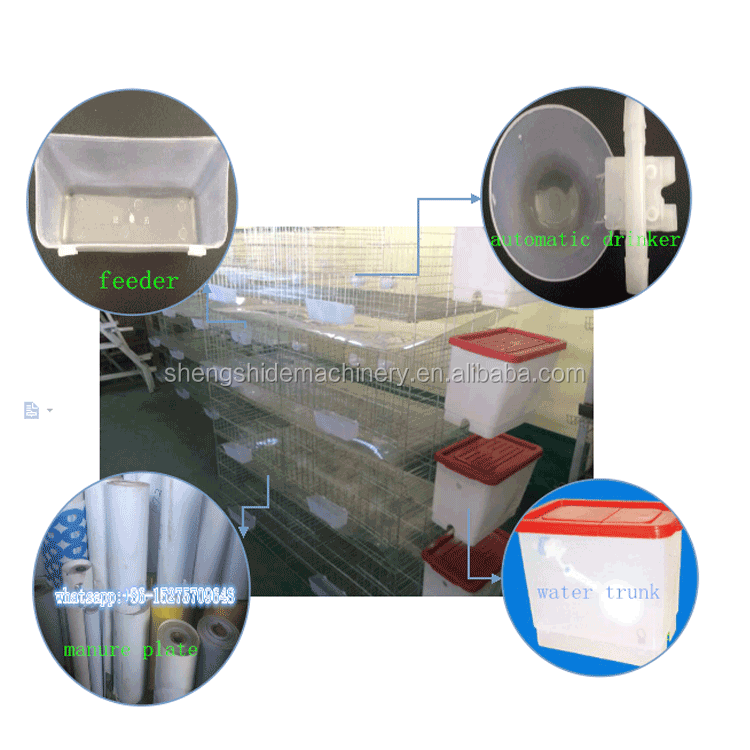 SSD poultry farm broiler layer baby chicken cages