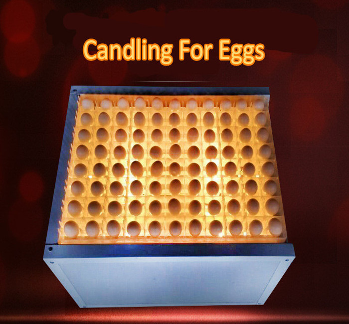 incubator egg tester egg candler for incubator