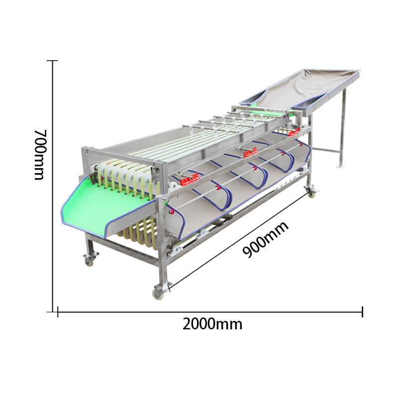 Automatic Fruit And Vegetable Size Sorting Grading Machine Cherry Tomatoes Sorting Machine Fruit Sorting Machine