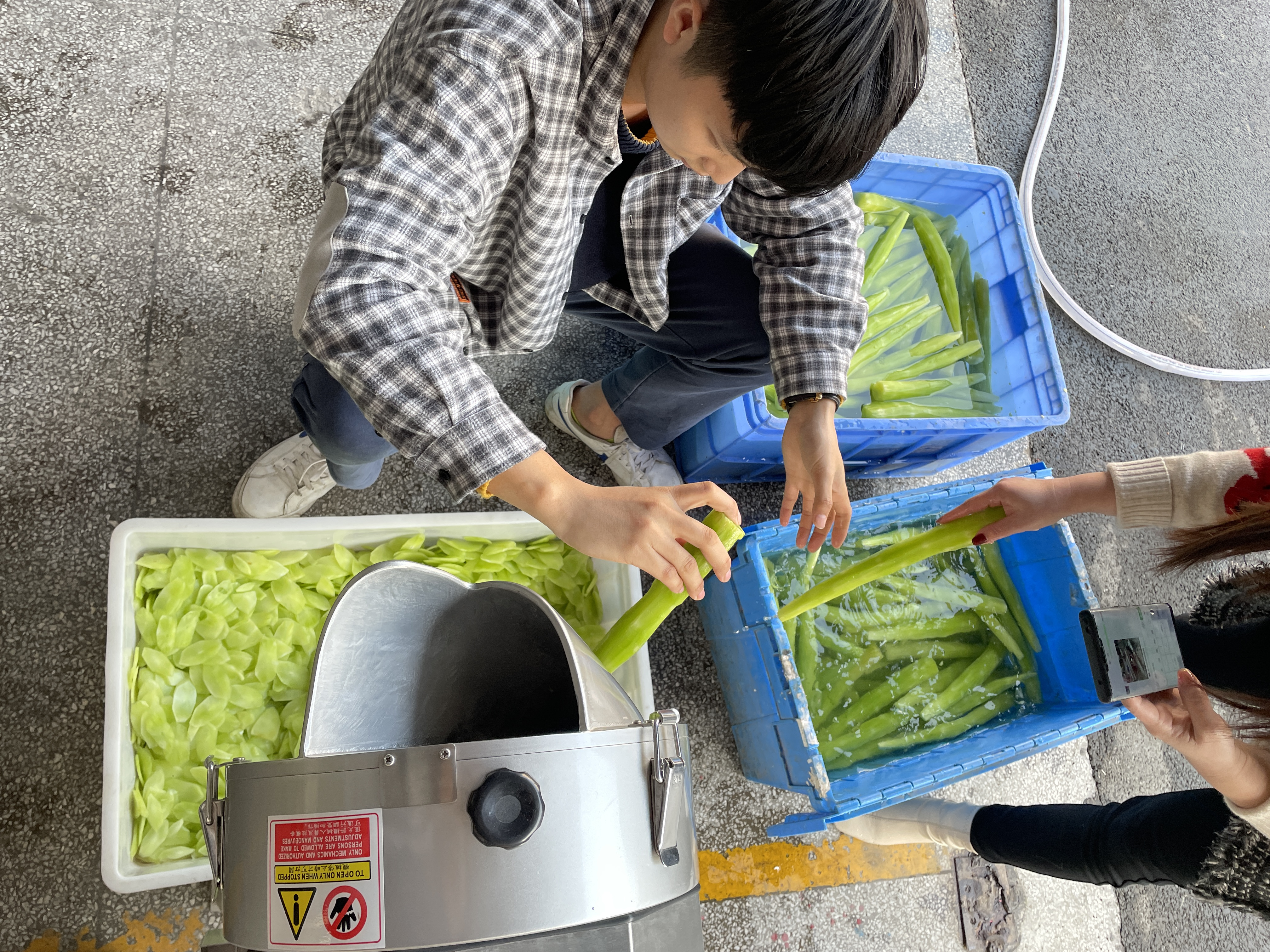 Automatic Onion Cubes Cutting Machine Shredder For Cabbage Vegetable Cutter Machine Electric