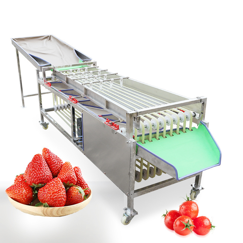 Automatic Fruit And Vegetable Size Sorting Grading Machine Cherry Tomatoes Sorting Machine Fruit Sorting Machine