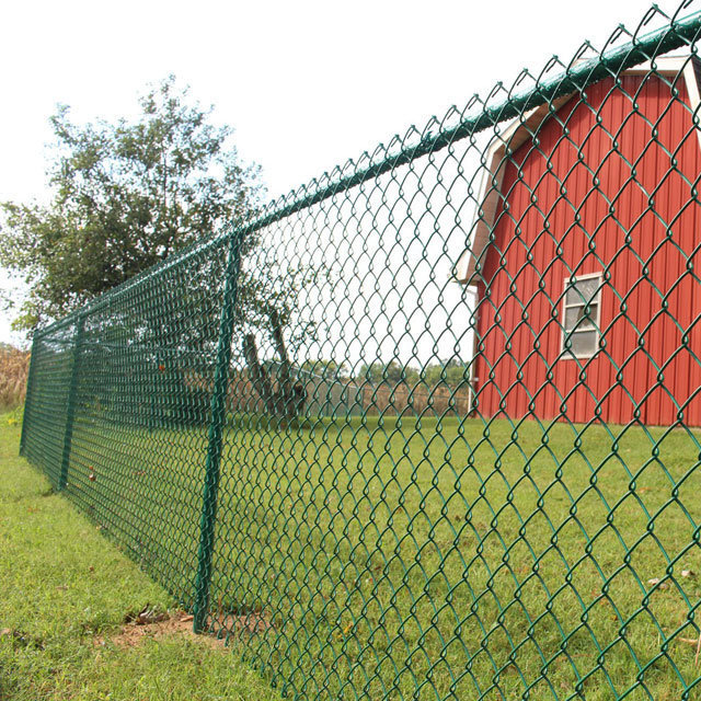 Competitive-priced Diamond Wire Mesh Fence Galvanized Or PVC-coated fence metal  Chain Link Fence