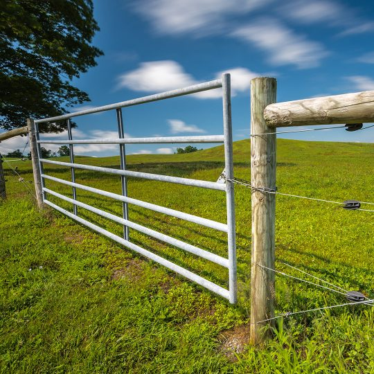 Factory supply simple galvanized farm iron pipe gate