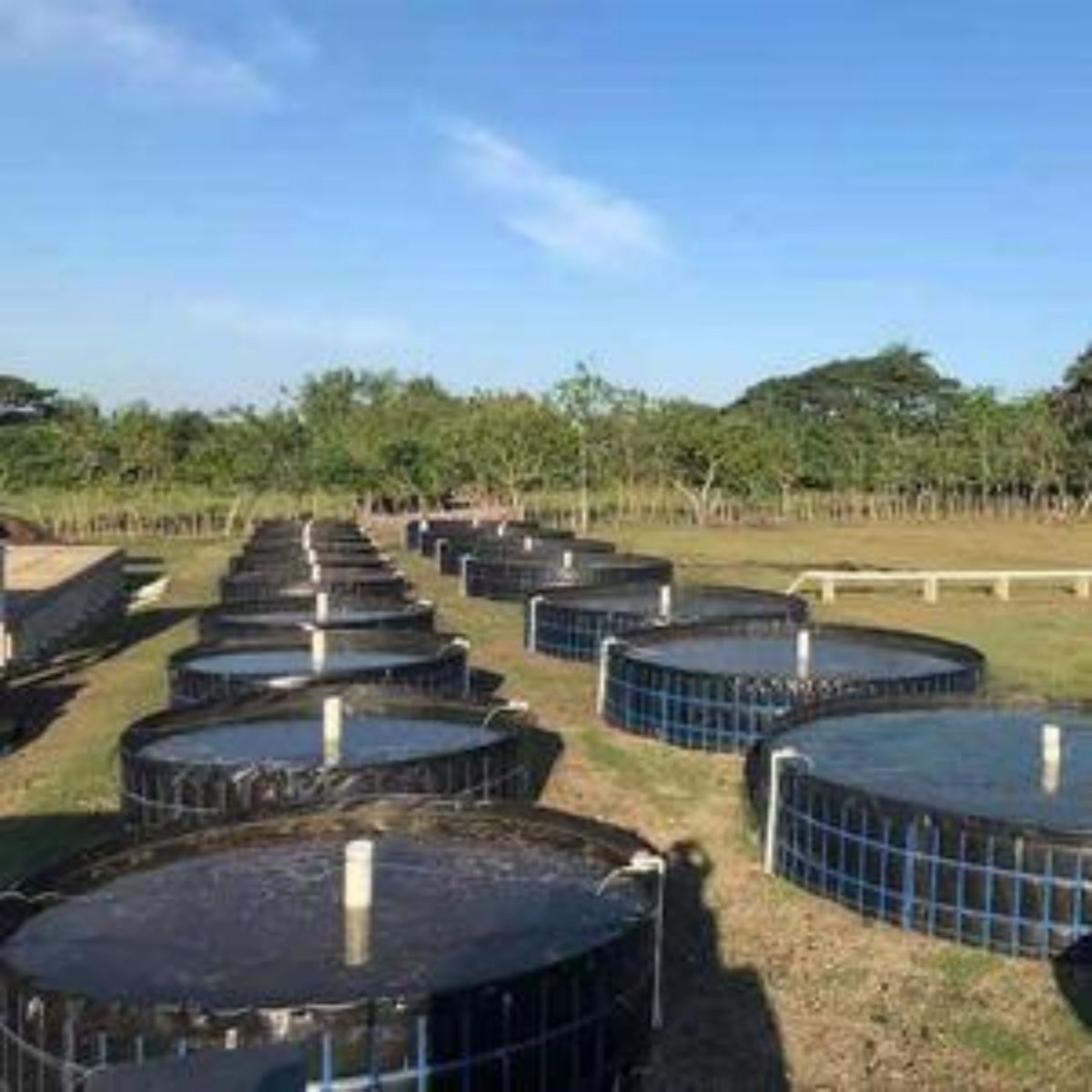 Fish Farming liner Geomembrane Aquaculture Pond Tanks for Fish water tank liners In ground