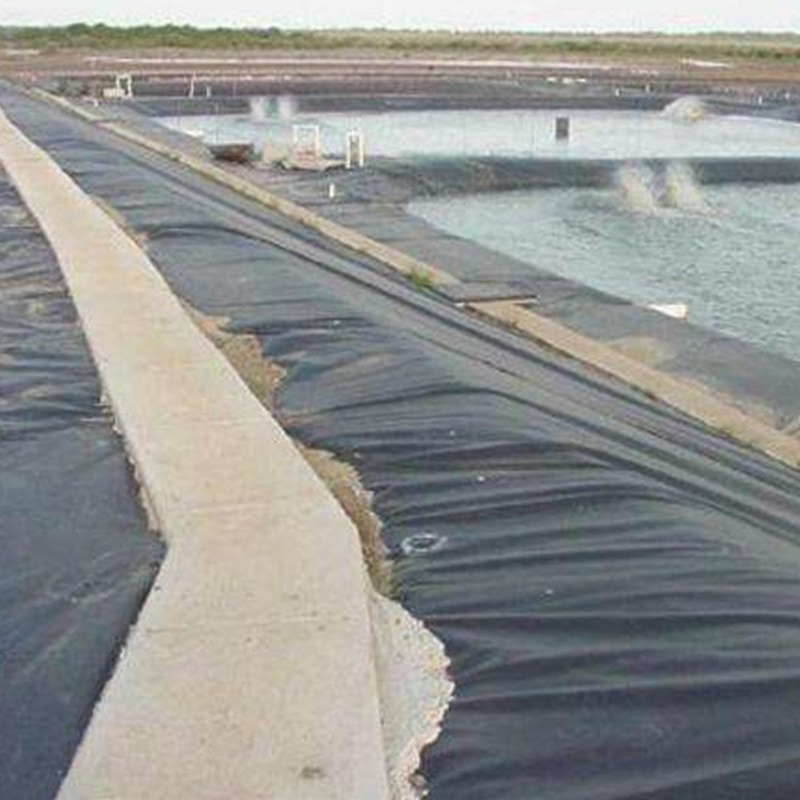 HDPE LDPE LLDPE PVC EPDM 1mm Dam Fish Farm Pond Liner 1.5mm 2mm Landfill Biodigester Liners Geomembrane