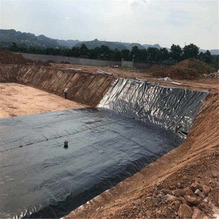 plastic geomembrane high quality 20ft x 35ft rubber pond liner low price