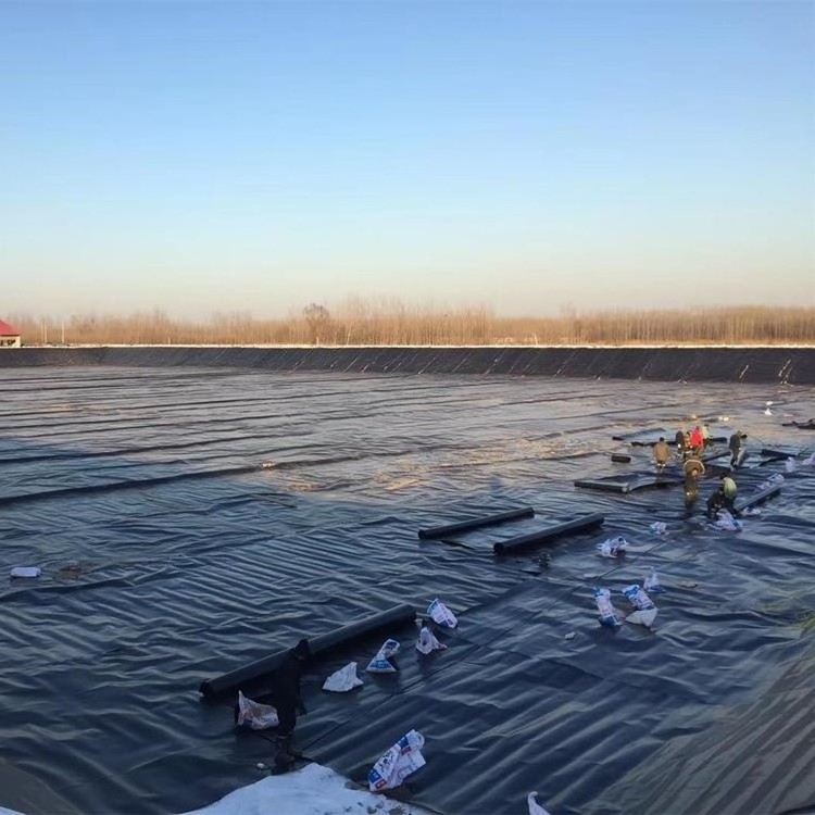 plastic geomembrane high quality 20ft x 35ft rubber pond liner low price