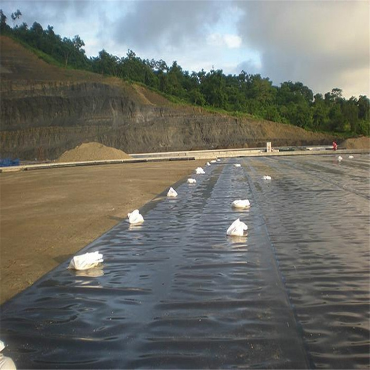 plastic geomembrane high quality 20ft x 35ft rubber pond liner low price