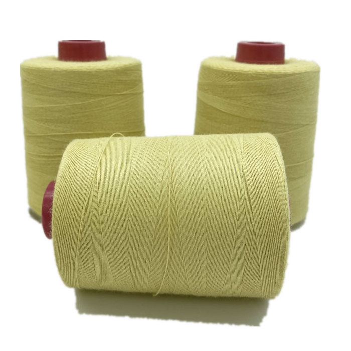 Heavy Duty Aramid Sewing Thread 40S/2 for Overlock Quilting Sewing Machine