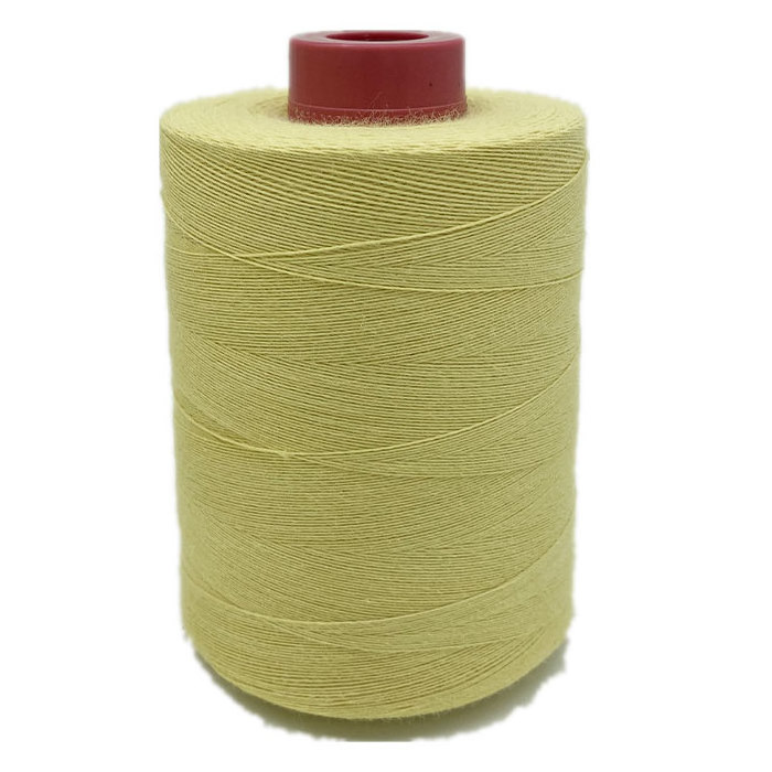 Heavy Duty Aramid Sewing Thread 40S/2 for Overlock Quilting Sewing Machine