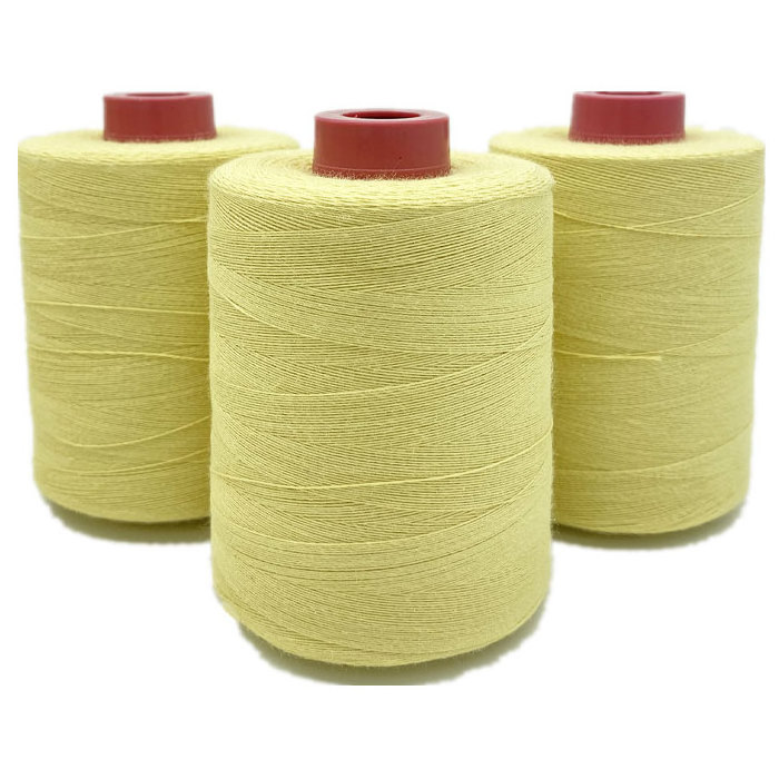 Heavy Duty Aramid Sewing Thread 40S/2 for Overlock Quilting Sewing Machine