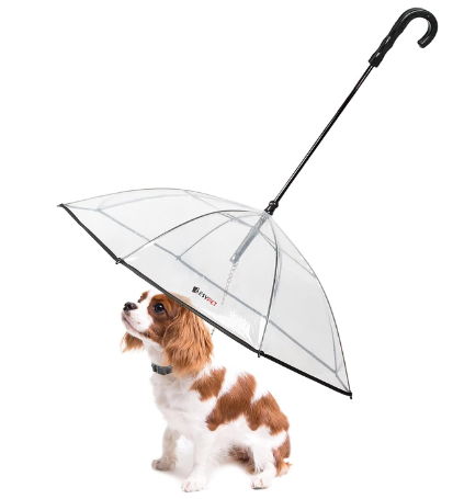 Hot Sale Clear dome Waterproof pet  Transparent umbrella rain gear dog cat umbrella with leash