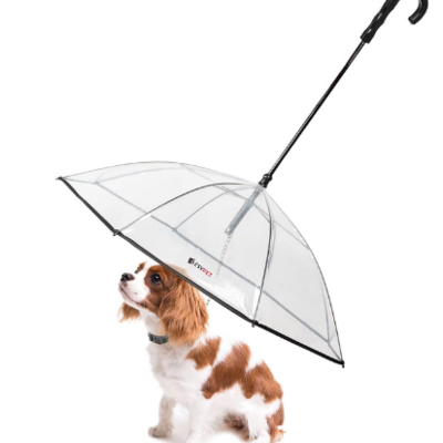 Hot Sale Clear dome Waterproof pet  Transparent umbrella rain gear dog cat umbrella with leash